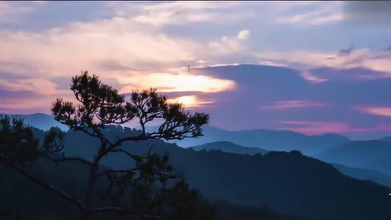 救援七星瓢虫