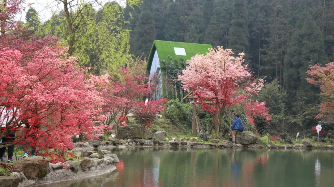 领导干部任前公示