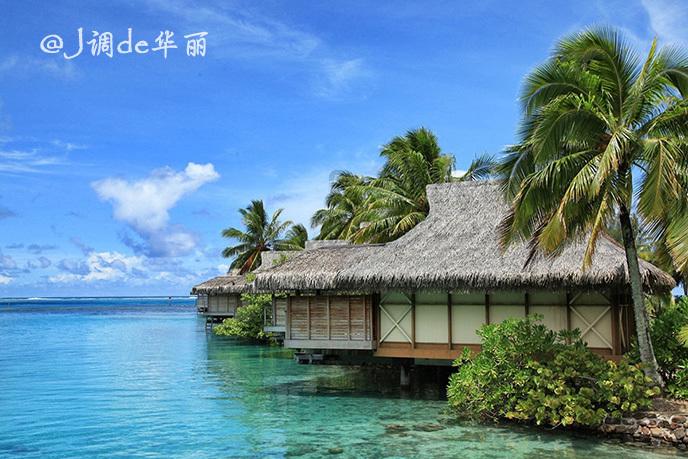 怎样防止甲流？？游戏画面